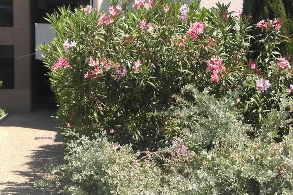 Appartement Particulier loue T3 en rez de jardin à 30 mètres de la plage avec un double box La Ciotat